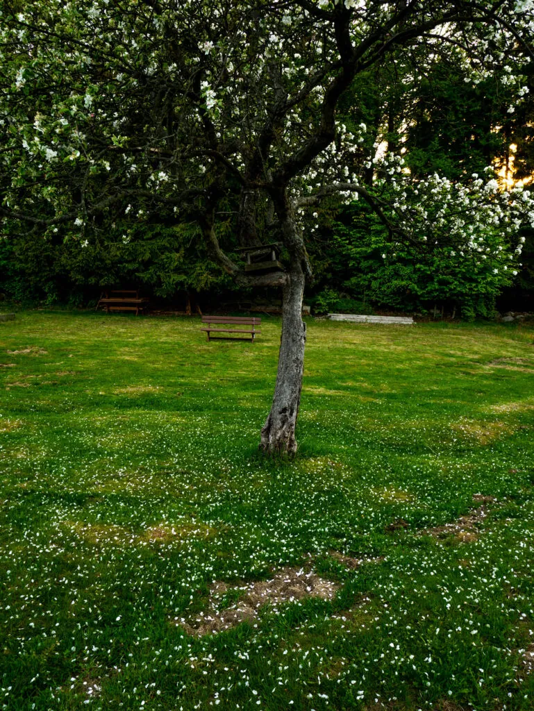 P1290156-1